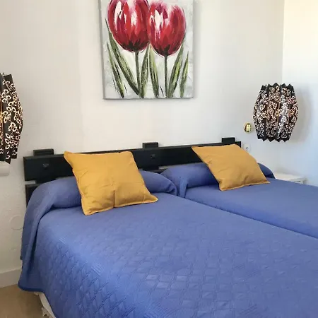 Homyat Nogalera Centro 托雷莫利诺斯